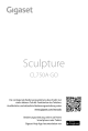 CL750 A GO Sculpture